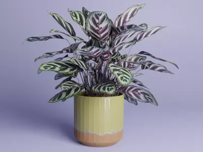 Lime colored ceramic terracotta pot Free low-poly 3D model