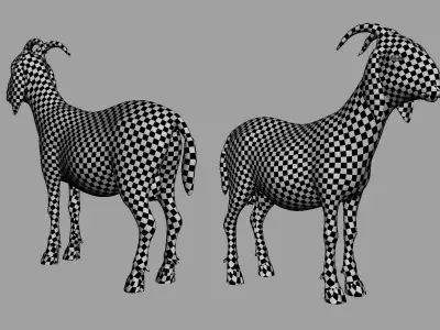 Goat Basemesh Low-poly 3D model