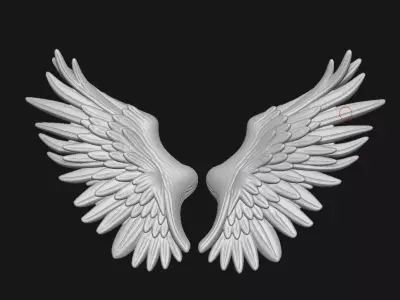 Wings 3D print model
