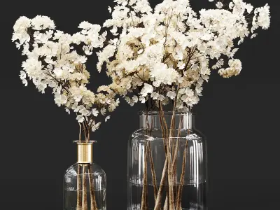 Collection Indoor Plants 014 3D model