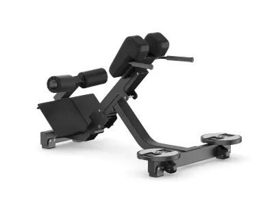 Technogym Pure Lower Back Bench  3D model