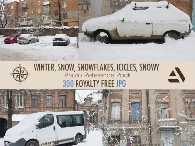 Reference Pack  Winters Snow Cars Trees Snowflakes icicles Texture