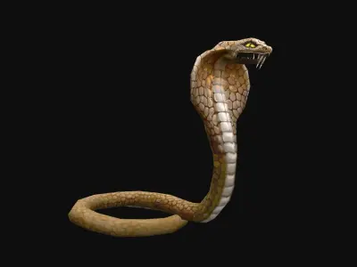 animated cobra snake Low-poly 3D model