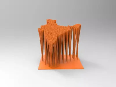 CUSTOM 3D BRANCHED MAP 3D model