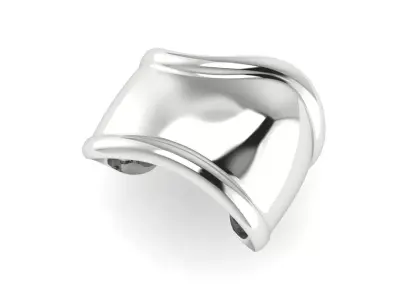 Bone Bracelet Size 17 3D print model