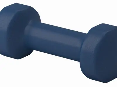 Dumbbell Gym   3D model