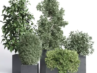 Outdoor plant Collection 113 stand plant box 3D model