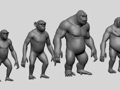 Primate BaseMesh II Chimpanzee I Gorilla I Monkey I Orangutan Low-poly 3D model