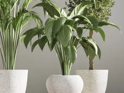 indoorplantstand26 palm tree in pot 3D model