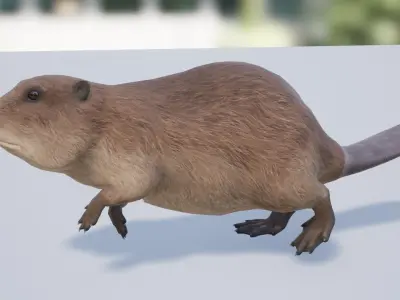 Pack of small animals Low-poly 3D model