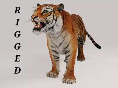 Bengal Tiger 3D model
