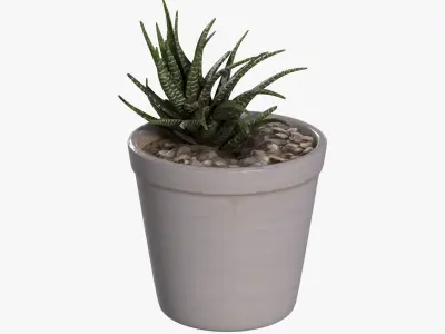 DESK PLANT Low-poly 3D model