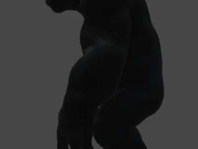 Majestic Gorilla 3D Model 3D model