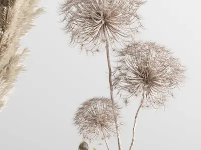bouquet 06 vase concrete plant pampas and dry hogweed 3D model