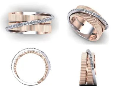 Ring bi67 3D print model