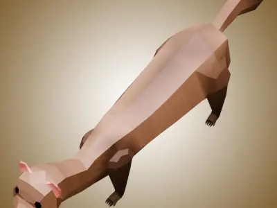 Ferret Low Poly Low-poly 3D model