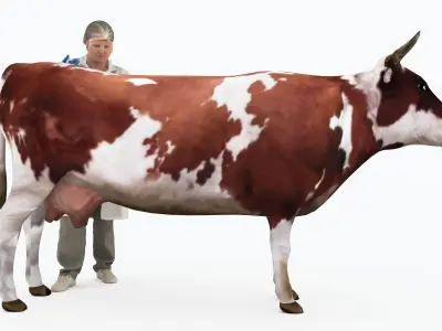 Veterinarian 4K 3D model