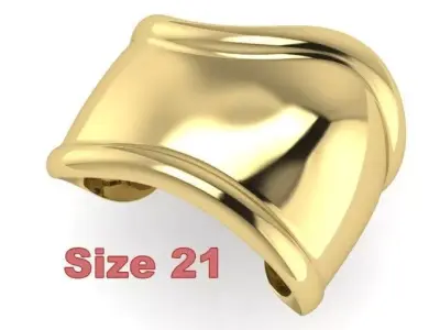 Bone Bracelet Size 21 3D print model