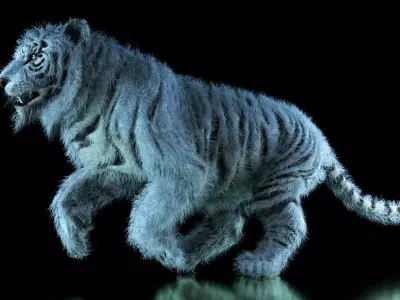 Raja The White Bengal Tiger 3D Model 3D model