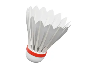 Shuttle Cock 3D model
