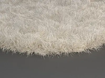 Rug Detailed 2 3D model