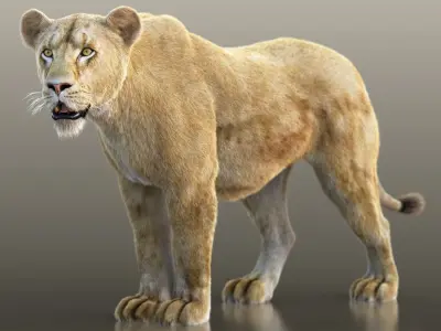 Lioness RIG XGEN CORE 3D model