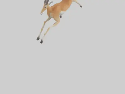 Gazelle running model 3D model