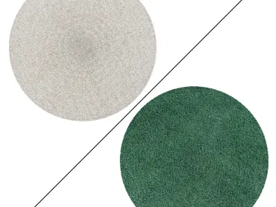 Round Rug Set 198 3D model