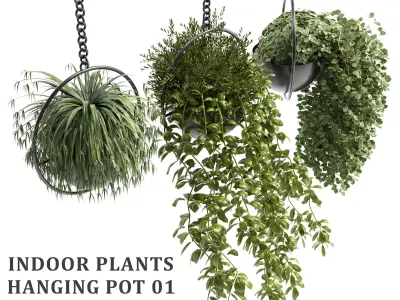 Indoor plants hanging pot 01 Low-poly 3D model