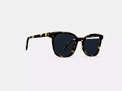Griffin Sunglasses in Burnt Honeycomb Tortoise 3D model