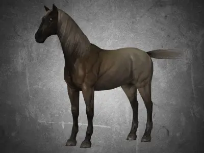 Horse - Pack 01 3D model