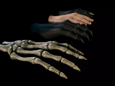 Virtual Reality Hands - Rigged and Animated Low-poly 3D model