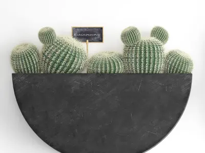 Cactus set wall decor vertical garden 55 3D model