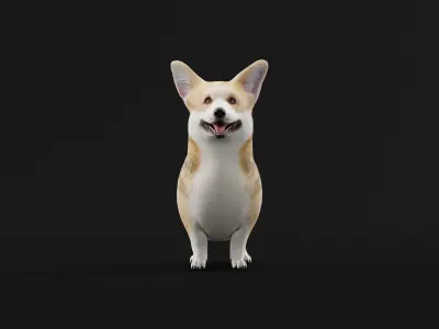 Pembroke Welsh Corgi Dog Low-poly 3D model