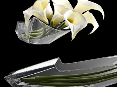 Vase Callas Baccarat 3D model