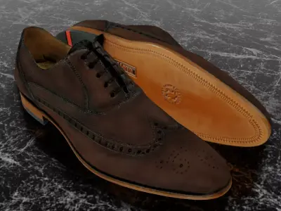 LLOYD CLASSIC 3D SHOES - BROWN 3D model