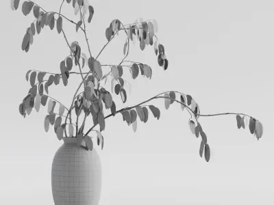 Plant in vase - Morus branch 3D model