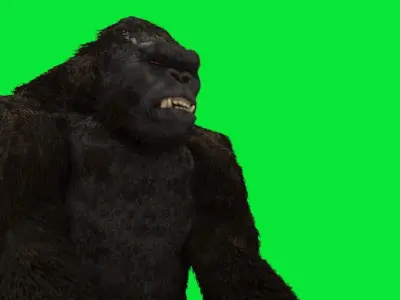 KING KONG SKULL ISLAND MODEL 3D model