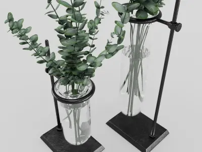 Eucalyptus In Laboratorium Jar 3D model
