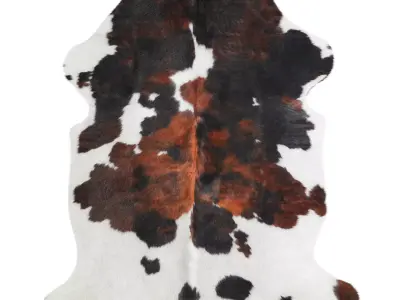 Tricolor Cowhide Rug A27043 3D model