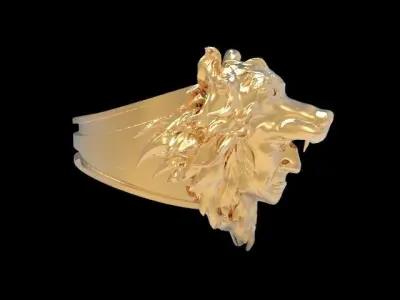 Wolf Warrior 3D print model