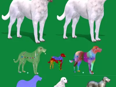 Akbash Dog Low-poly 3D model