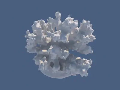 Coral Reefs 3D model