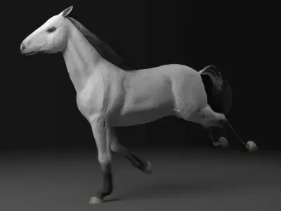 Horse model running 3D model