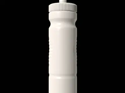 Water Bottle Mockup Free 3D model