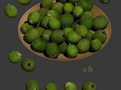 Feijoa on a platter Low-poly 3D model