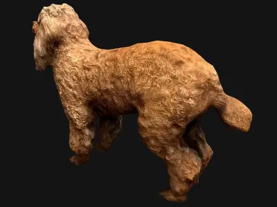 Dog Cockapoo  Cocker Spaniel Mix Poodle Low-poly 3D model