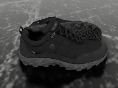 GREYDER X PRO - 3D SHOES Low-poly 3D model