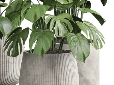 Indoor plant 07 3D model purchase