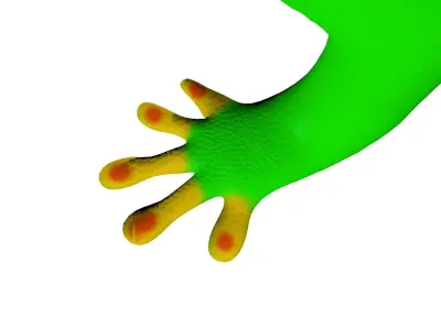 Madagascar Day Gecko 3D model